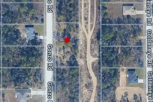 14498 Gonzo Rd, Weeki Wachee, FL 34614 - Photo 1