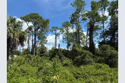 Lutz Road, North Port, FL 34286 - Photo 5