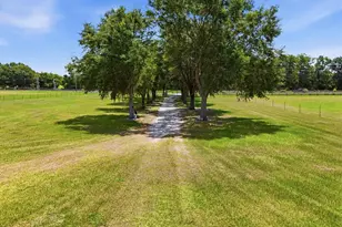 11752 NE Jacksonville Rd, Anthony, FL 32617 - Photo 3