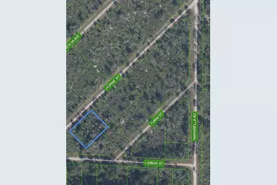 3513 Turin Street, Lake Placid, FL 33852 - Photo 3