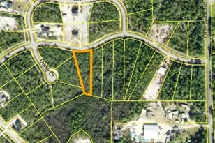 358 Ridgecrest Pkwy, Eastpoint, FL 32328 - Photo 1