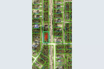 12421 Albany Road, Weeki Wachee, FL 34614 - Photo 3
