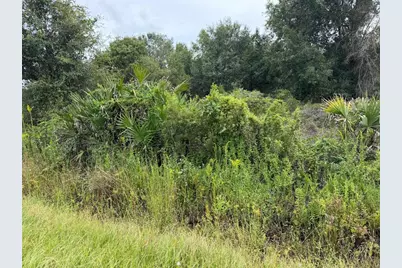 14616 NW 260th Street, Okeechobee, FL 34972 - Photo 3