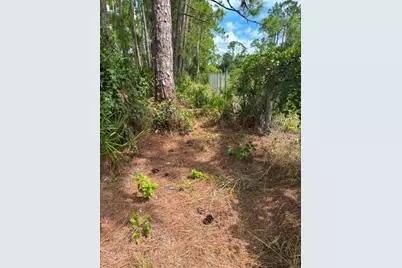 Tropicaire Boulevard, North Port, FL 34286 - Photo 19