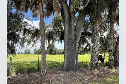 Johns Road, Wauchula, FL 33873 - Photo 1