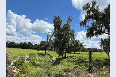 Johns Road, Wauchula, FL 33873 - Photo 9