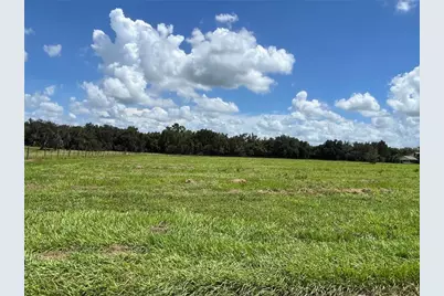 Johns Road, Wauchula, FL 33873 - Photo 5