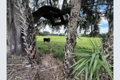 Johns Road, Wauchula, FL 33873 - Photo 15