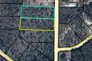 Lot #8 Edision, Alford, FL 32420 - Photo 1