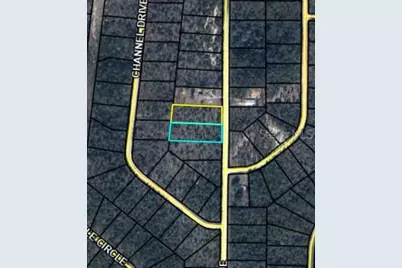 Lot #9 Edision, Alford, FL 32420 - Photo 1