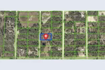7490 Castleberry Drive, Ridge Manor Estates, FL 33597 - Photo 1