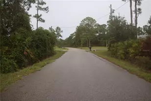 1102 Redbird St, Lake Placid, FL 33852 - Photo 17