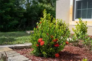 3329 Eagle Pass St, North Port, FL 34286 - Photo 59