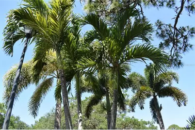 4364 Skyway Avenue, North Port, FL 34288 - Photo 71