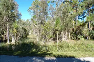 12219 Ripple Dr, Punta Gorda, FL 33955 - Photo 1