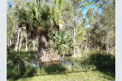 12219 Ripple Drive, Punta Gorda, FL 33955 - Photo 9