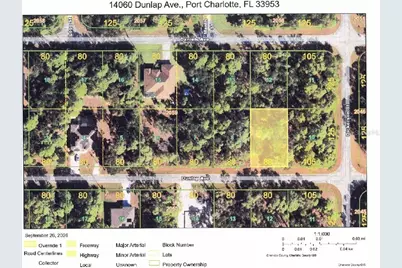 14060 Dunlap Avenue, Port Charlotte, FL 33953 - Photo 5