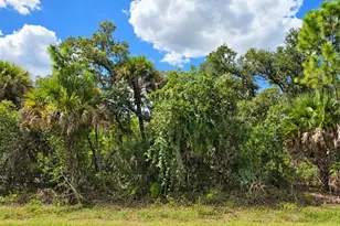 181 Juper St, Port Charlotte, FL 33953 - Photo 1