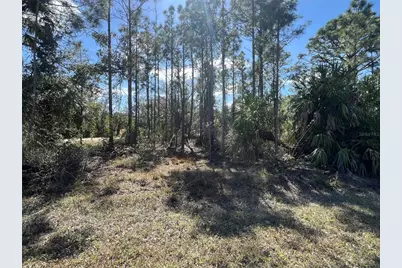 28019 Treadmill Drive, Punta Gorda, FL 33955 - Photo 3