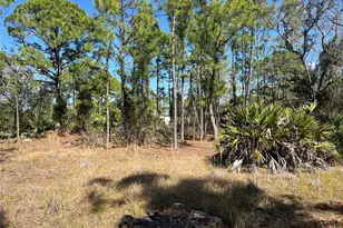 28019 Treadmill Dr, Punta Gorda, FL 33955 - Photo 1