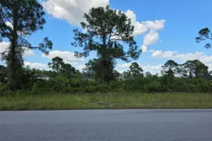 1115 Jaguar Blvd, Lehigh Acres, FL 33974 - Photo 1