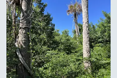 10048 Hel-Lew Court, Placida, FL 33946 - Photo 3