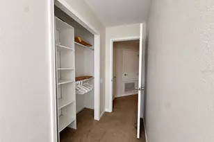 10204 Estero Bay Ln, Tampa, FL 33625 - Photo 15