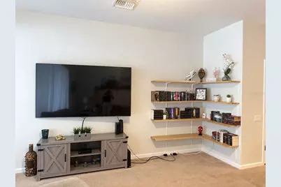10204 Estero Bay Lane, Tampa, FL 33625 - Photo 5