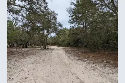 3742 S Pelican Avenue, Inverness, FL 34450 - Photo 3