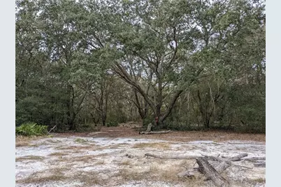 3742 S Pelican Avenue, Inverness, FL 34450 - Photo 27