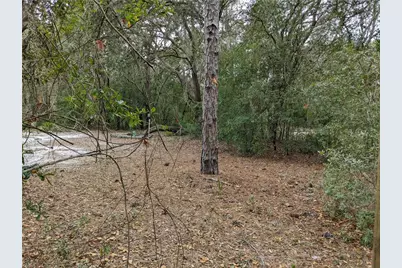 3742 S Pelican Avenue, Inverness, FL 34450 - Photo 13