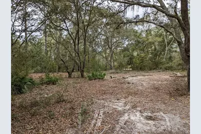 3742 S Pelican Avenue, Inverness, FL 34450 - Photo 19