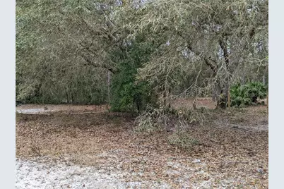 3742 S Pelican Avenue, Inverness, FL 34450 - Photo 9