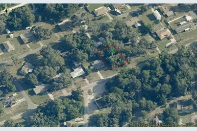 8731 E Gospel Island Road, Inverness, FL 34450 - Photo 3