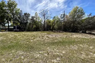 2090 W Roseboro Dr, Citrus Springs, FL 34434 - Photo 1