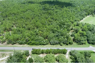4479 W Homosassa Trail, Lecanto, FL 34461 - Photo 3
