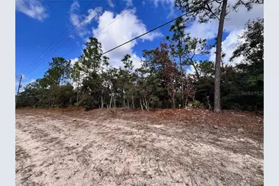 6328 W Pine Ridge Boulevard, Beverly Hills, FL 34465 - Photo 5