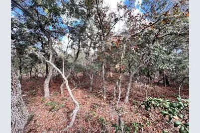 6328 W Pine Ridge Boulevard, Beverly Hills, FL 34465 - Photo 7