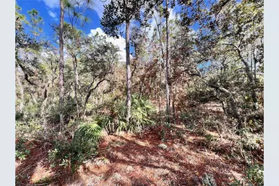 6328 W Pine Ridge Boulevard, Beverly Hills, FL 34465 - Photo 3