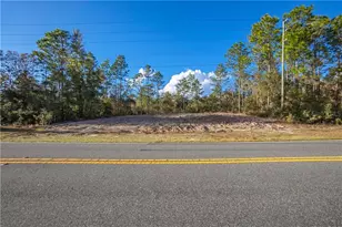 10510 N Elkcam Blvd, Citrus Springs, FL 34433 - Photo 1
