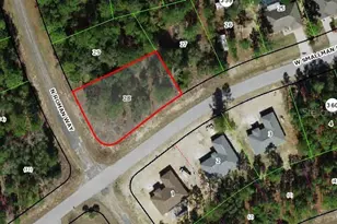 989 W Smallman Pl, Citrus Springs, FL 34434 - Photo 1