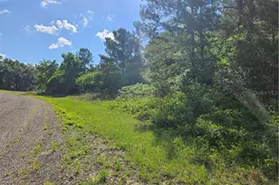 622 E Abady Ln, Citrus Springs, FL 34434 - Photo 1