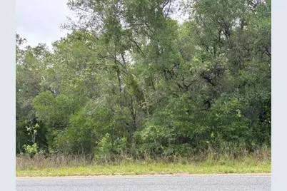 93 N Croft Avenue, Inverness, FL 34453 - Photo 5