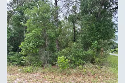 359 N Fitzpatrick Avenue, Inverness, FL 34453 - Photo 1