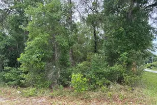 359 N Fitzpatrick Ave, Inverness, FL 34453 - Photo 1