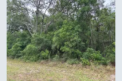 359 N Fitzpatrick Avenue, Inverness, FL 34453 - Photo 5