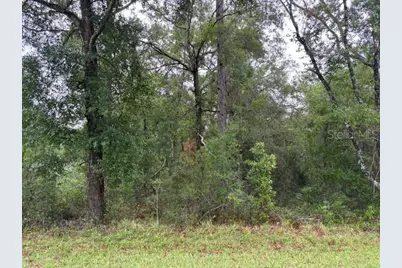 359 N Fitzpatrick Avenue, Inverness, FL 34453 - Photo 3