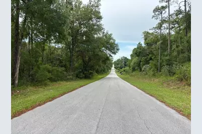359 N Fitzpatrick Avenue, Inverness, FL 34453 - Photo 7