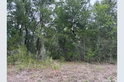 6717 E Gentry Street, Inverness, FL 34452 - Photo 3