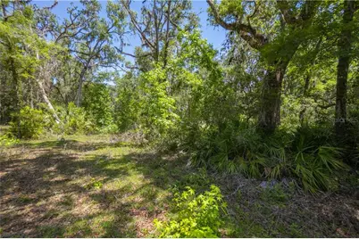 105 NE 239 Avenue, Old Town, FL 32680 - Photo 5